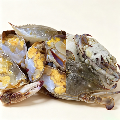 Fresh Frozen Swimming Crab