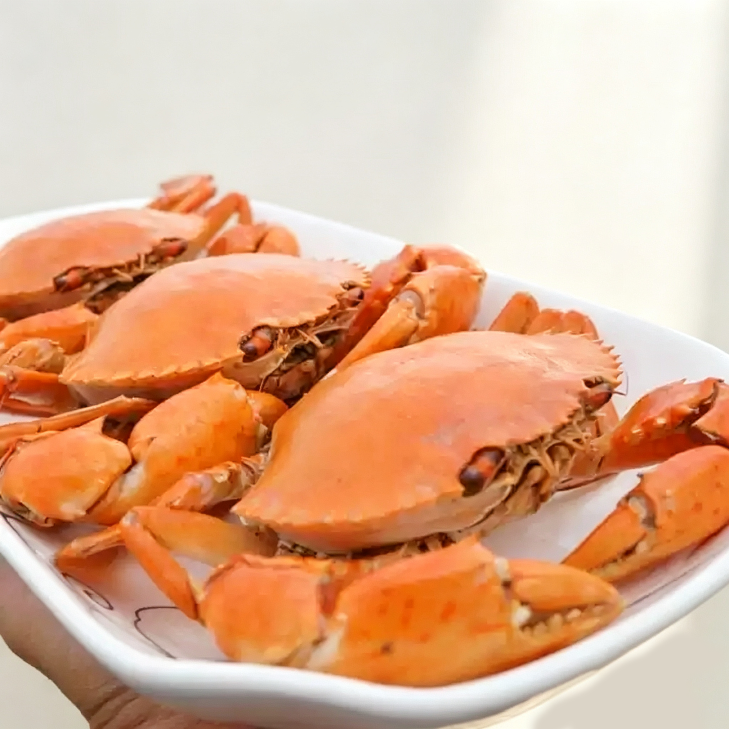 Frozen Raw Female Mud Crab